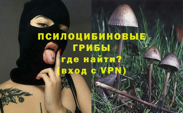 ешки Богородск