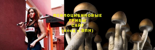 гидропоника Богданович