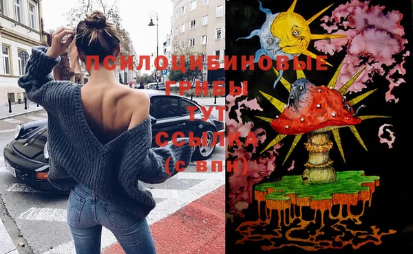 спайс Богородицк