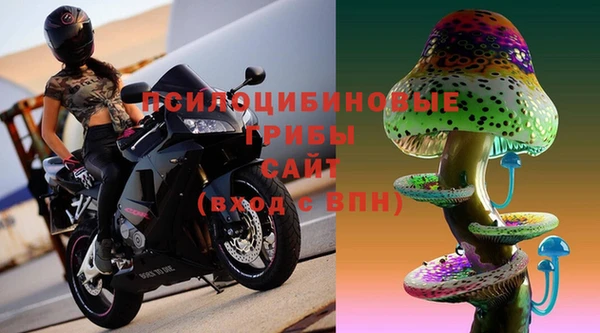 спайс Богородицк