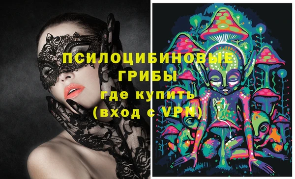 гидропоника Богданович