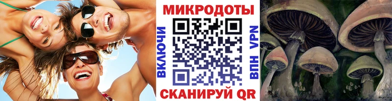 Псилоцибиновые грибы Psilocybine cubensis  Юрга 